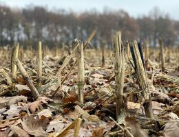 57511430 73f0c bb97 baebfb394e51