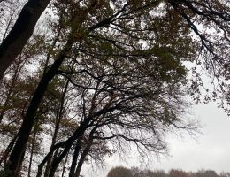 a918b45e f712 468de9 b4aa42a8ef88