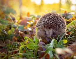 marco otten besucher der akadmie
