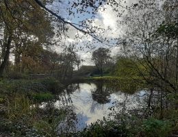 teich umweltzentrum stapelfeld