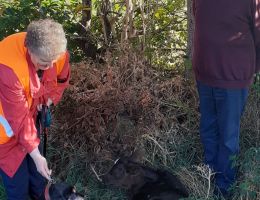 whatsapp image 2021 11 18 at